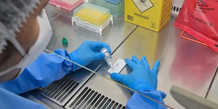 Anvisa Aprova Novo Teste Rápido para Diagnóstico de Hantavirose 14 Foto: Reprodução Rudson Amorim/IOC/Fiocruz