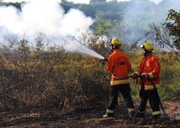 Governo lança painel que detalha gastos climáticos entre 2010 e 2023
