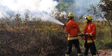 Governo lança painel que detalha gastos climáticos entre 2010 e 2023 1 Governo lança painel que detalha gastos climáticos entre 2010 e 2023