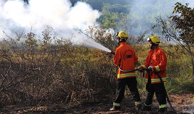 Governo lança painel que detalha gastos climáticos entre 2010 e 2023 14 Foto; Reprodução creative commons