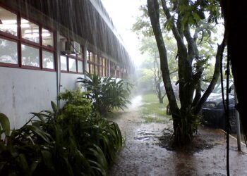 Chuvas intensas provocam alagamentos e colocam São Paulo em estado de alerta