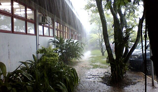 Foto; Reprodução Creative Commons