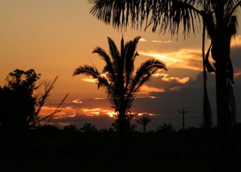 Trabalho ao ar livre exige cuidados redobrados com a exposição ao sol durante o verão