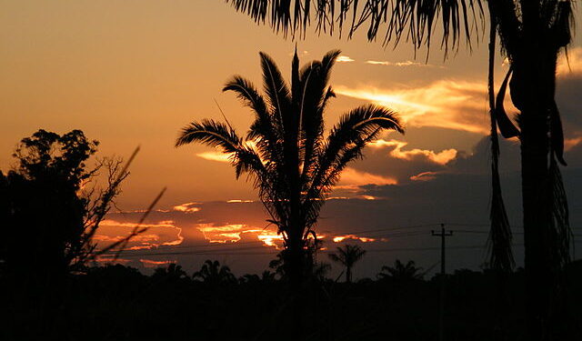 Foto: Reprodução Creative Commons