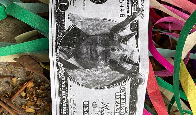 Foto: Reprodução Creative Commons