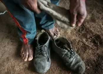 Baixa taxa de condenações revela persistência do trabalho escravo no Brasil, aponta estudo da UFMG