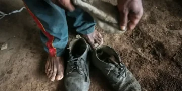 Baixa taxa de condenações revela persistência do trabalho escravo no Brasil, aponta estudo da UFMG