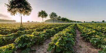 Acordo histórico põe fim a conflito fundiário no Paraná e beneficia mais de 10 mil agricultores