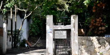 Bloco Rola Preguiçosa homenageia Preta Gil no carnaval de 2026 em Ipanema