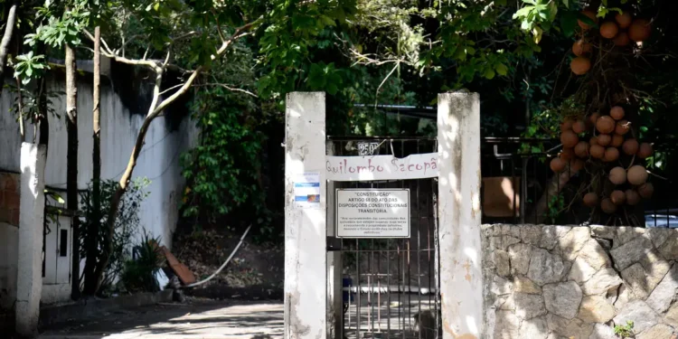 Foto: Reprodução
Tânia Rêgo