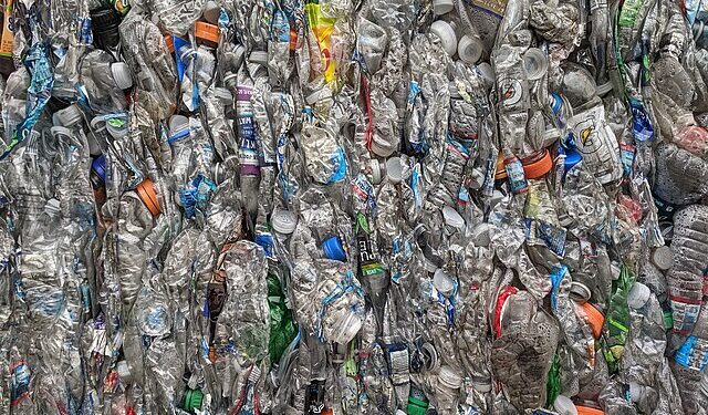 Foto: Reprodução creative commons