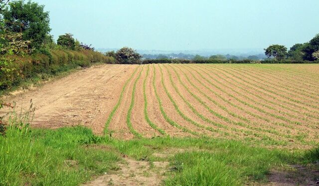 Foto: Reprodução creative commons