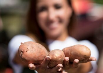MBRF e Governo do Paraná anunciam investimento de R$ 375 milhões para fortalecer produção de alimentos no estado