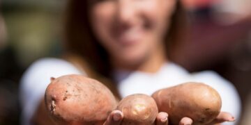 MBRF e Governo do Paraná anunciam investimento de R$ 375 milhões para fortalecer produção de alimentos no estado