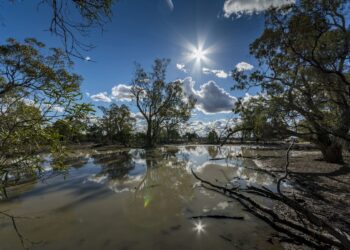 Alertas de desmatamento caem 35% na Amazônia e 6% no Cerrado, aponta Inpe