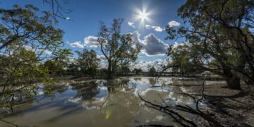 Alertas de desmatamento caem 35% na Amazônia e 6% no Cerrado, aponta Inpe