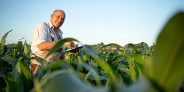 Seguro rural obrigatório passa a impactar R$ 516 bilhões do crédito agrícola em 2026