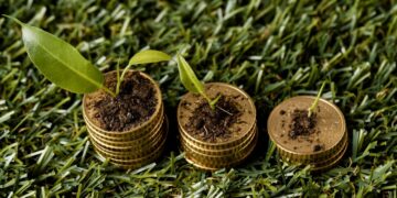 Nova rota dos juros, clima favorável e crédito seletivo redesenham ciclo de investimentos no agro