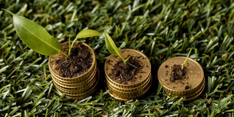 Foto: Reprodução
Freepik