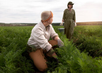 Guerra pressiona energia e logística global e reforça importância da eficiência no uso de fertilizantes 20 Guerra pressiona energia e logística global e reforça importância da eficiência no uso de fertilizantes