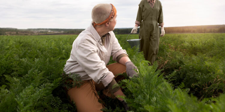 Guerra pressiona energia e logística global e reforça importância da eficiência no uso de fertilizantes 14 Foto: Freepik