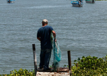Governo cria duas unidades de conservação marinha no litoral sul do Rio Grande do Sul 17 Governo cria duas unidades de conservação marinha no litoral sul do Rio Grande do Sul