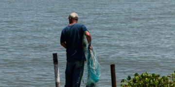 Governo cria duas unidades de conservação marinha no litoral sul do Rio Grande do Sul