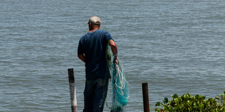 Governo cria duas unidades de conservação marinha no litoral sul do Rio Grande do Sul 1 Governo cria duas unidades de conservação marinha no litoral sul do Rio Grande do Sul