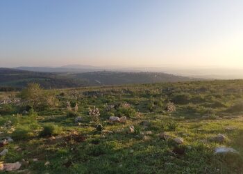 O impacto do Oriente Médio sob o risco logístico e o alento ao etanol
