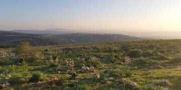 O impacto do Oriente Médio sob o risco logístico e o alento ao etanol
