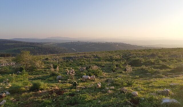 Foto: Creative Commons