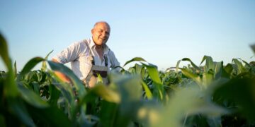 Agropecuária cresce 11,7% e responde por quase um terço da expansão do PIB em 2025