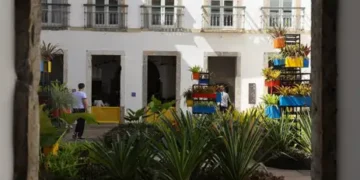 Paço Imperial recebe exposição com mais de 100 artistas no Rio 1 Paço Imperial recebe exposição com mais de 100 artistas no Rio