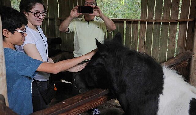 Foto: Creative Commons