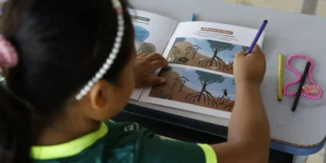 Brasil avança na alfabetização infantil, mas especialistas alertam para desigualdades