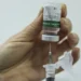 Campanha nacional de vacinação contra gripe começa neste sábado no Brasil 2 Campanha nacional de vacinação contra gripe começa neste sábado no Brasil