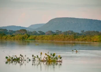 Conheça novas áreas de proteção ambiental no Cerrado e no Pantanal