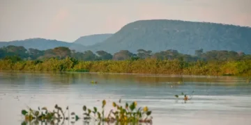 Conheça novas áreas de proteção ambiental no Cerrado e no Pantanal