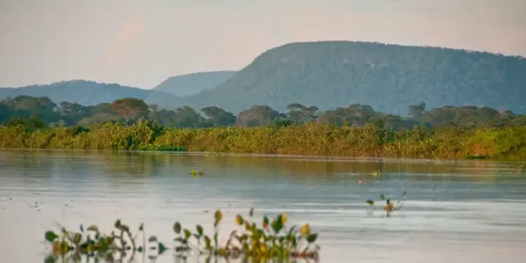 Foto: Palê Zuppani/ICMbio