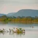 Conheça novas áreas de proteção ambiental no Cerrado e no Pantanal