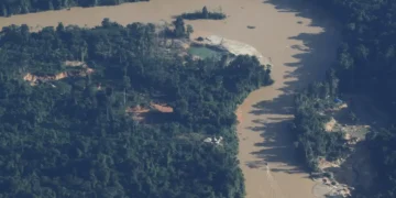 Amazonas se torna o primeiro estado com 100% de acesso à TVpública digital gratuita