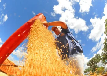 Atividade econômica do Brasil cresce 0,6% , aponta Banco Central