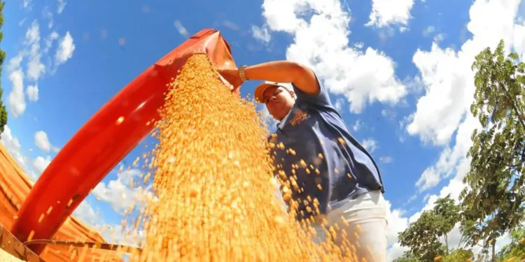 Foto: Prefeitura de Campo Grande