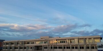 Vender empresa pode ser estratégia e não sinal de crise, aponta especialista