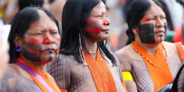 Programa de saúde do governo já atendeu mais de 24 mil indígenas no Brasil