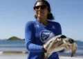 Projeto monitora tartarugas marinhas e reforça preservação em Arraial do Cabo