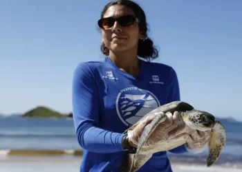 Projeto monitora tartarugas marinhas e reforça preservação em Arraial do Cabo