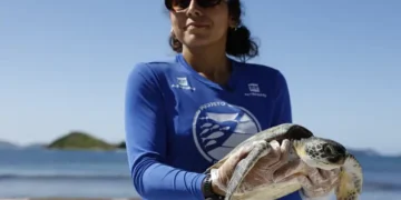 Projeto monitora tartarugas marinhas e reforça preservação em Arraial do Cabo