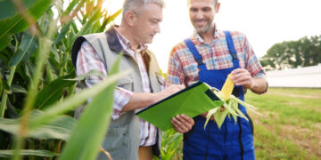 Produtores recebem Selo Agro SP durante a Agrishow 2026