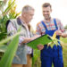 Produtores recebem Selo Agro SP durante a Agrishow 2026